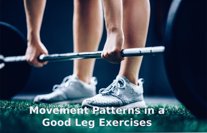 Movement Patterns in a Good Leg Exercises