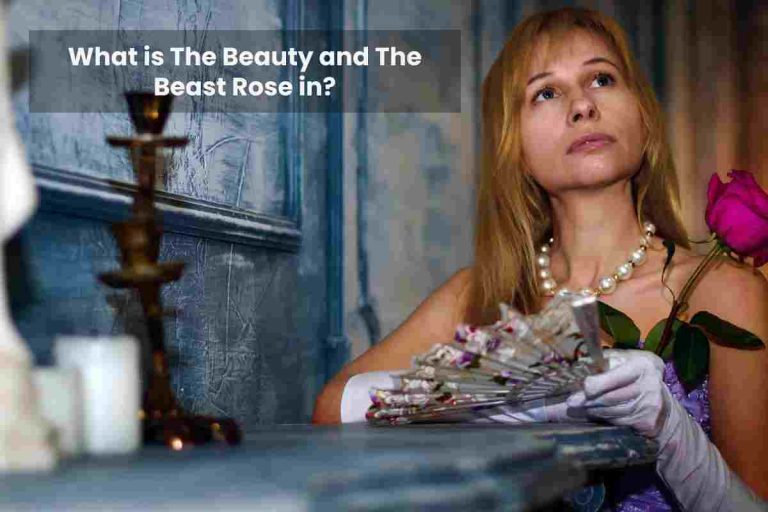 What is The Beauty and The Beast Rose in?